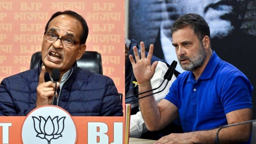 "Rahul Gandhi Behaved Like Goon`: BJP On Parliament Scuffle