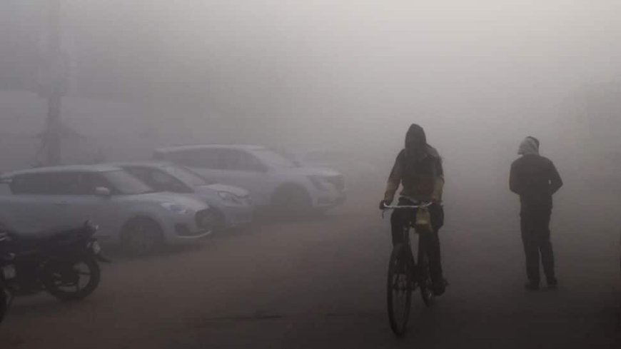 Weather Update: Cold Wave Sweeps Delhi, AQI Remains `Severe` As Temperatures Drops