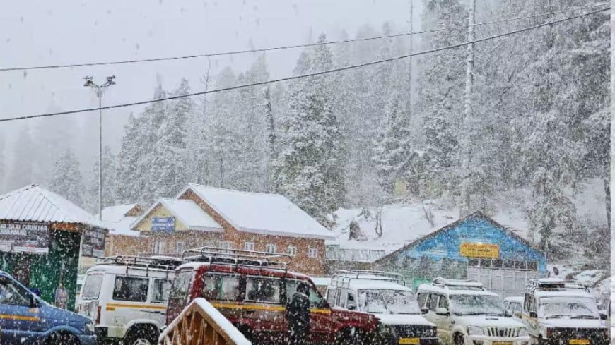 Severe Cold Wave Hits Kashmir and Ladakh: Temperatures Plunge to Minus 24°C