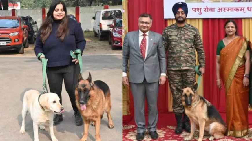 From Battlefield To Forever Homes: Indian Army`s Initiative For Retired Military Dogs