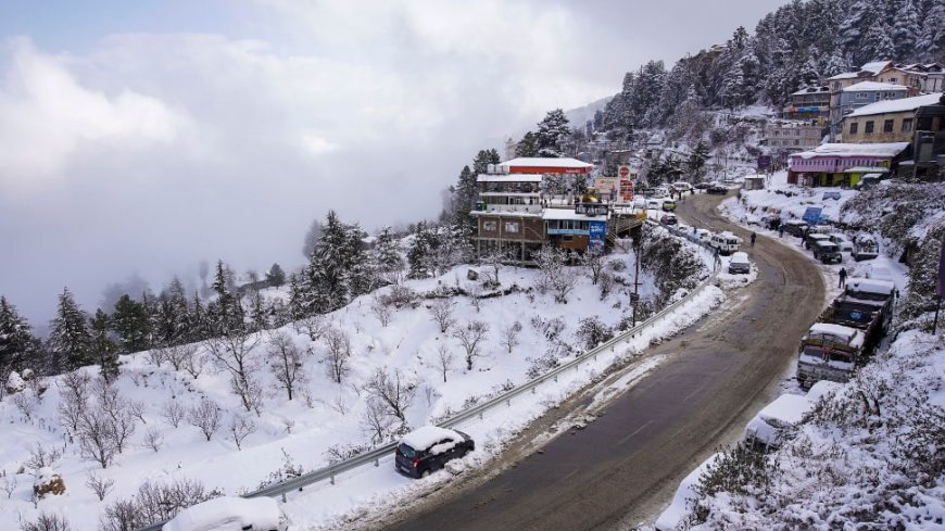 Shimla, Manali Blanketed In Snow On Christmas: 4 Dead, 223 Roads Shut, Hotel Occupancy Crosses 70%