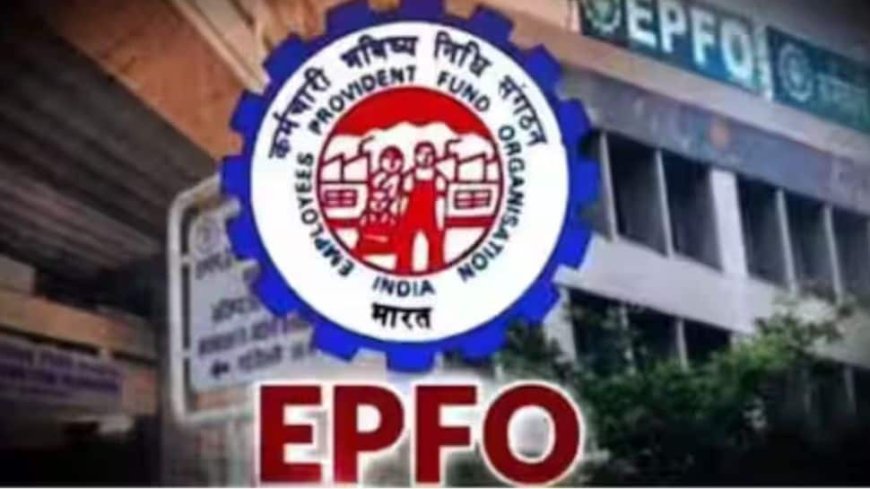 EPFO Adds 13.41 Lakh Net Members As Employment Rises