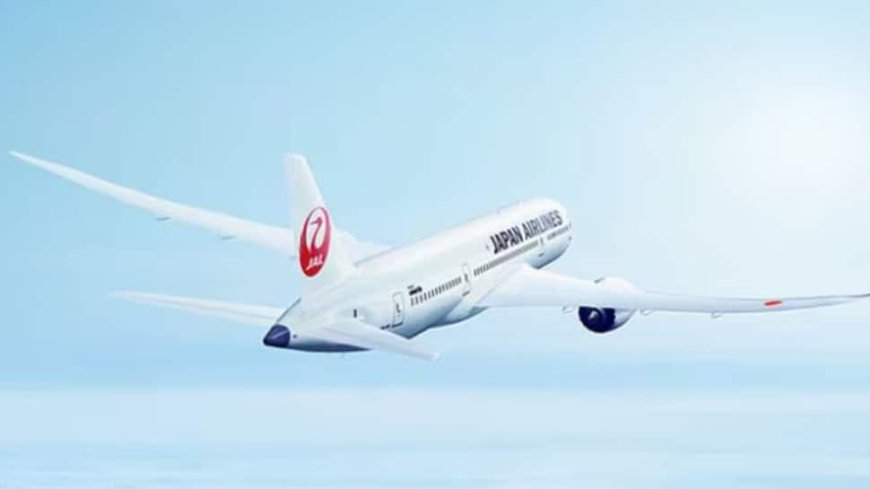 Cyberattack Hits Japan Airlines; Flights Delayed, Ticket Sales Suspended