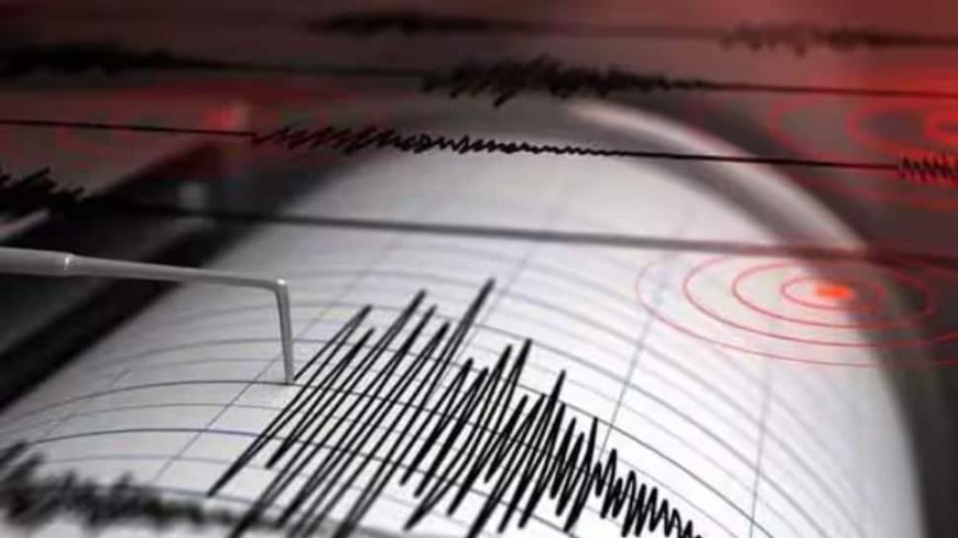 Kashmir Earthquake Today: Quake Of 4.0 Magnitude Jolts J&K, Epicenter In Baramulla