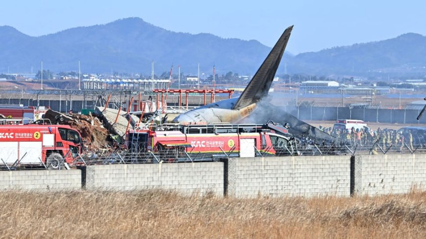 Plane With 181 People, Catches Fire During Landing At South Korea Airport, 85 Dead | Video