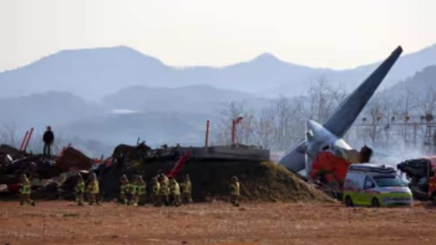 'Deeply Saddened': India Expresses Condolences Over Tragic South Korea Plane Crash