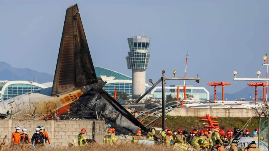 Fiery Jet Crash In South Korea Claims 179 Lives: What All We Know