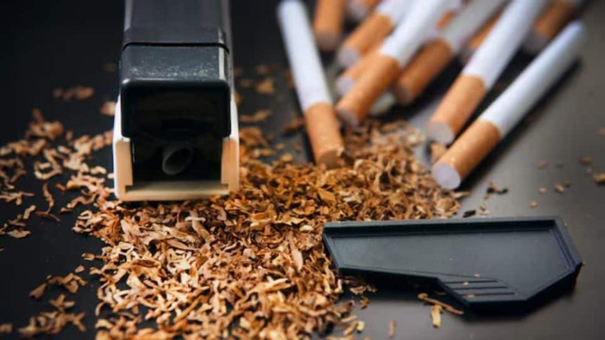 India's Tobacco Exports Surge To Record High Of Rs 12,005 Crore, Farmers' Income More Than Doubled