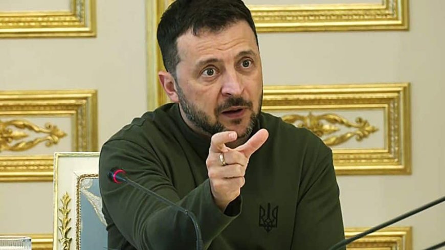 'Grain From Ukraine': Zelenskyy Sets Up Fund For Stabilising Syria