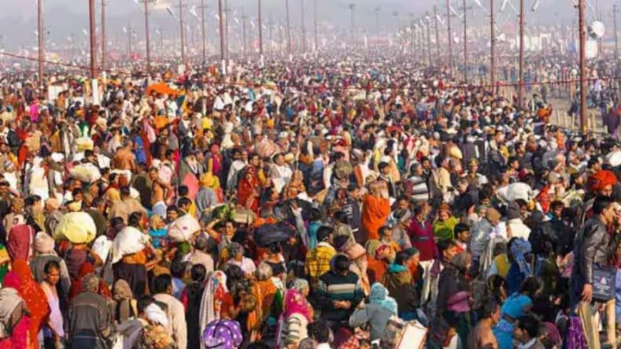 Maha Kumbh 2025: UPSDMA Conducts Training To Address Nuclear And Chemical Disasters