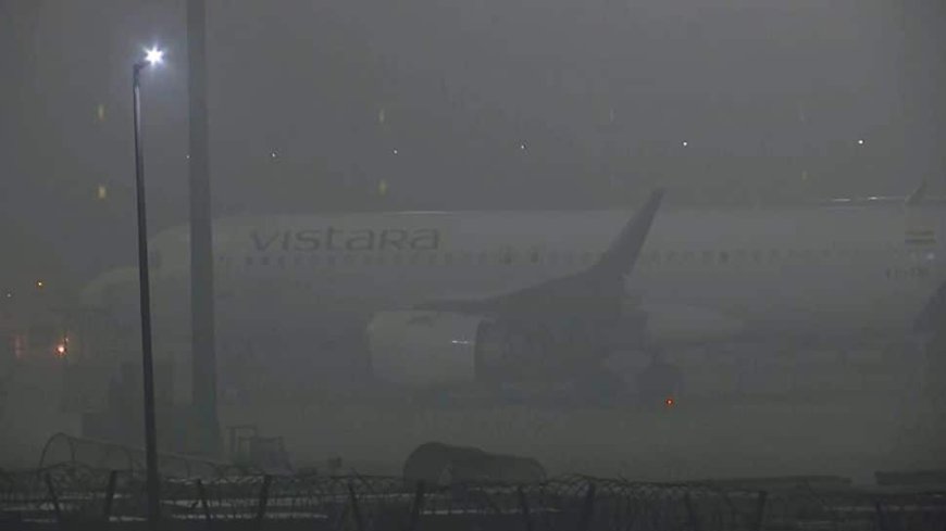 Dense Fog Disrupts Flights And Trains In Delhi; North India Faces Cold Waves, Low Visibility