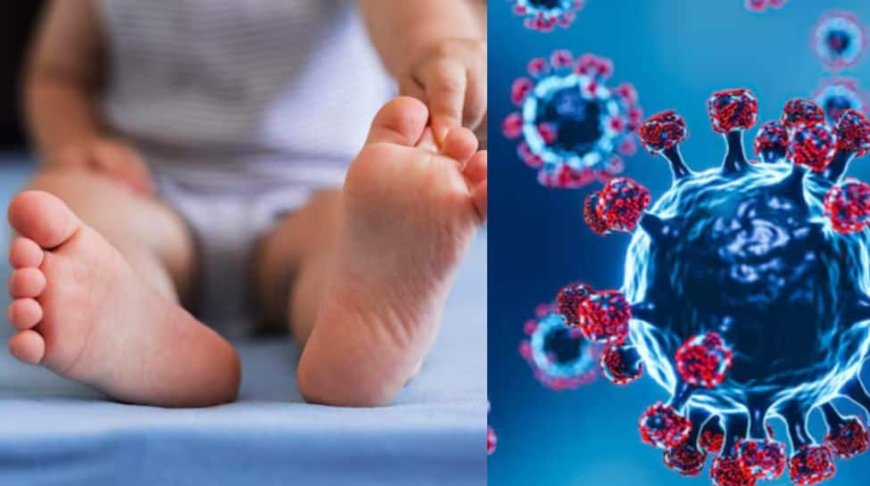 HMPV Virus Now In India! First Case Reported From Bengaluru Hospital; 8-Month-Old Baby Tests Positive