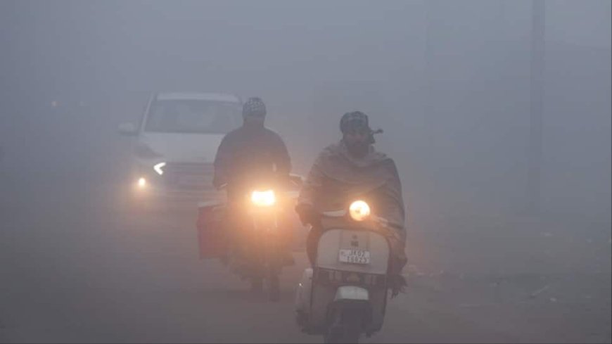 Amid Freezing Winters, Delhi Braces For More Chilling Days Ahead As Temparature Drops In Capital — Check Forecast