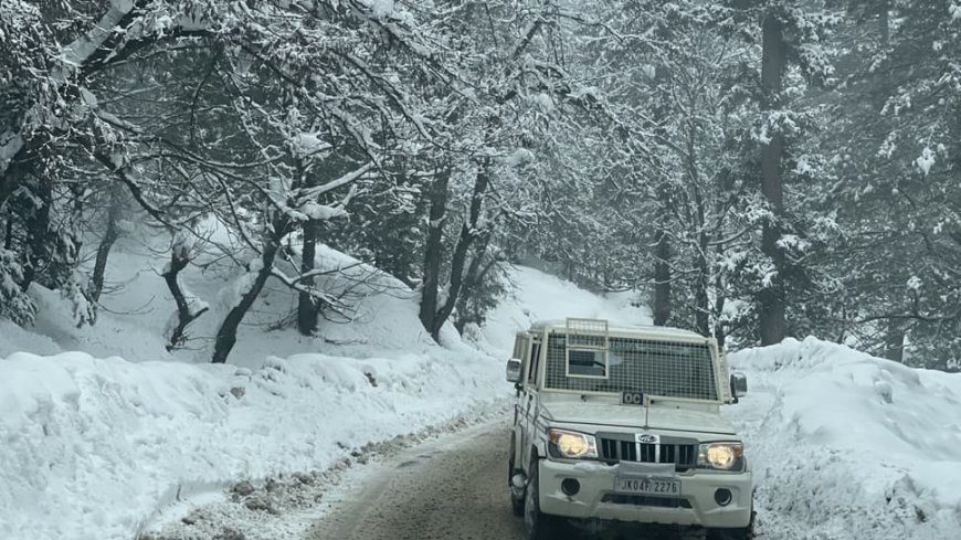 Snowfall Turns Game Changer: Over 12,000 Tourists Visit Kashmir In First Week Of The Year