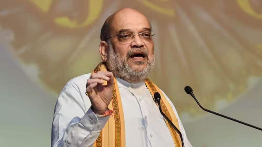 `Toilet In `Sheesh Mahal` expensive Than...`: Amit Shah Slams Arvind Kejriwal