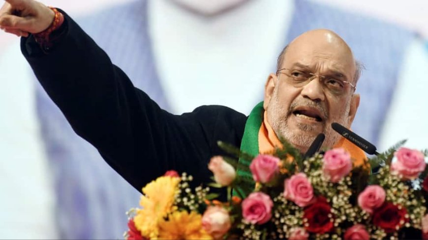 ‘People Showed Sharad Pawar, Uddhav Thackeray Their Place’: Shah Tears Into MVA Allies In Shirdi