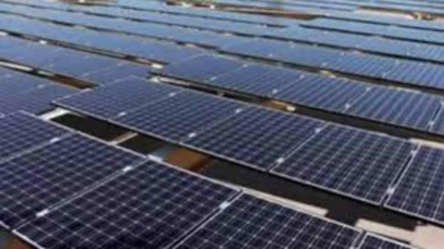 India's Renewable Energy Capacity Sees 15.84 Per Cent Growth, Reaches 209.44 GW By December 2024