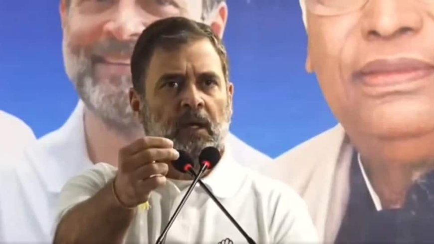 Delhi Polls: Rahul Gandhi Targets Arvind Kejriwal, PM Modi Over Inflation, Corruption, Caste Census