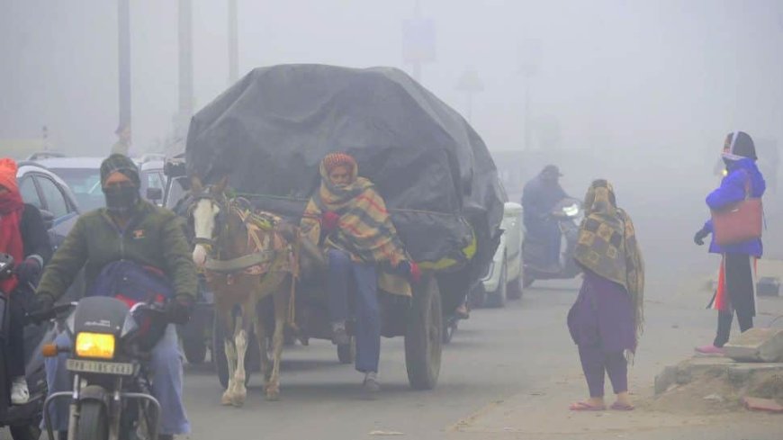 Weather Update: IMD Issues Orange Alert For Dence Fog In Delhi, Predicts Heavy Rain In Tamil Nadu — Check Full Forecast