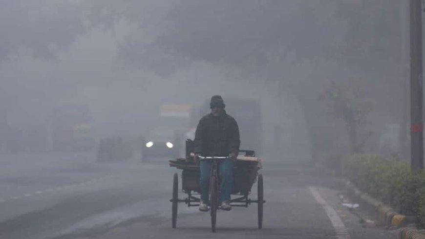 Weather Updates: Delhi-NCR Faces Travel Chaos Amid Dense Fog; IMD Predicts Rain For Today