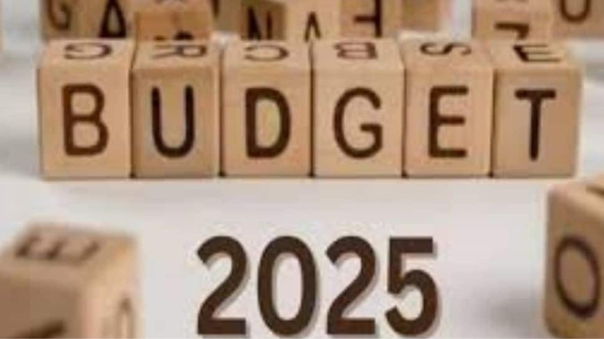 Budget 2025: Industry Leaders Say Declining Rupee Will Pose Challenge To Fiscal Management