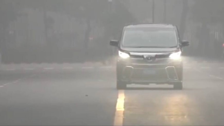 Delhi Weather: IMD Issues Yellow Alert As Fog, Cold Waves Continue To Grip Capital; Flight & Train Services Hit