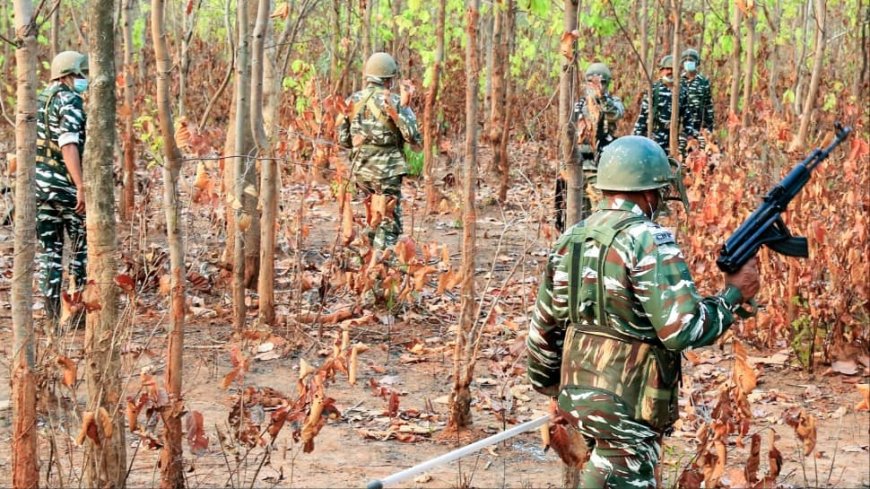 12 Bodies Of Naxals Recovered, Large Cache Of Arms Seized, Say Police