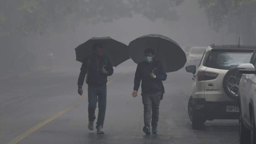 Weather Update: IMD Issues Alert For Dense Fog In Delhi, Predicts Rainfall In Tamil Nadu