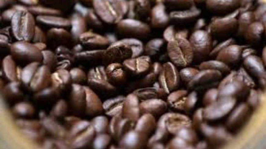 India's Annual Coffee Exports Double To $1.3 Billion In Last 4 Years