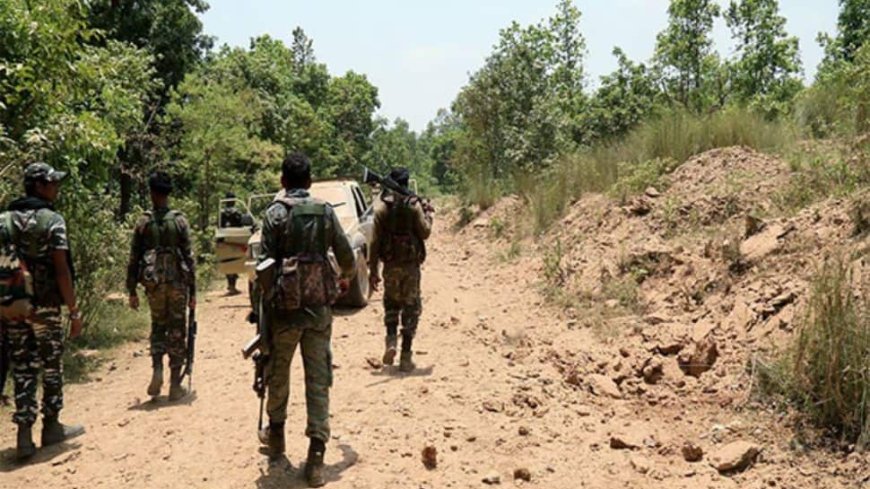 Chhattisgarh:14 Naxals Killed In Police Encounter, Including 1 Cr Bounty-Hit Member