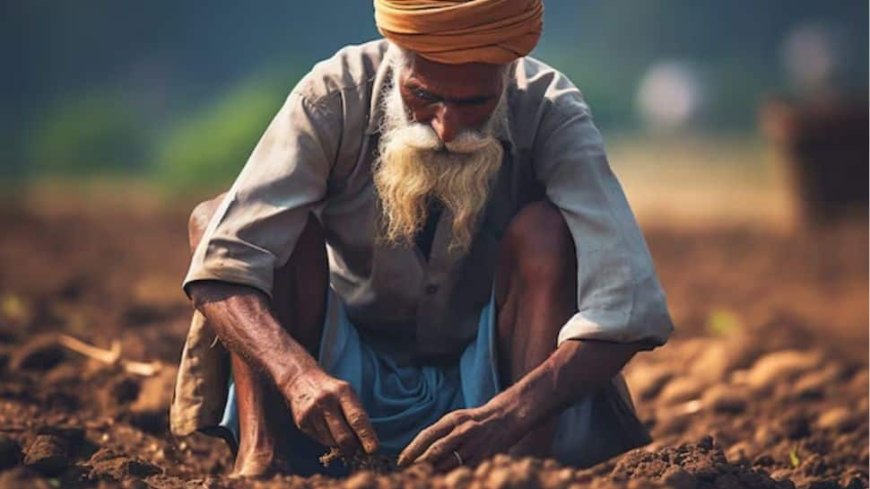 PM Kisan 19th Installment Likely To Be Released In February 2025: Check Benefits, Eligibility, And How To Check Beneficiary List