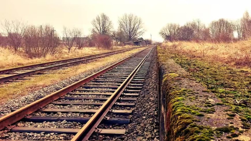 Khurda Road-Balangir Railway Project In Odisha Granted Stage-II Forest Clearance