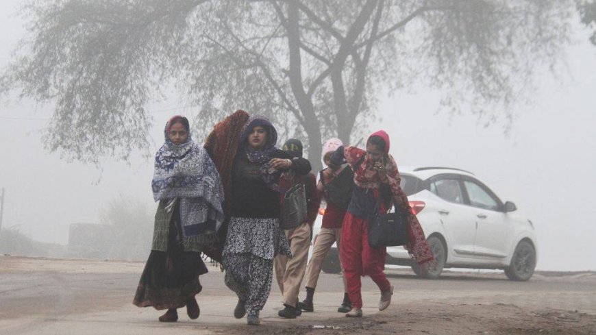 Weather Update: IMD Predicts Dense Fog, Cold Wave And Temperature Drops Across India