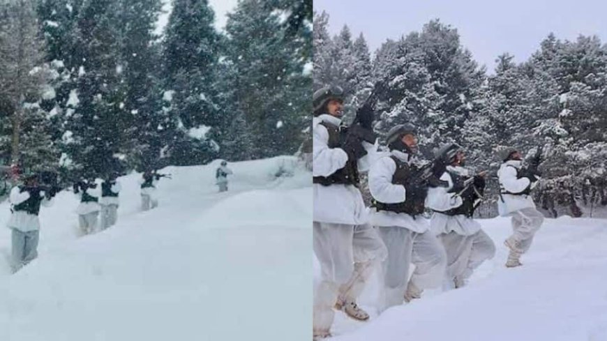 LoC Army Camps Enhance Border Security Despite Harsh Conditions