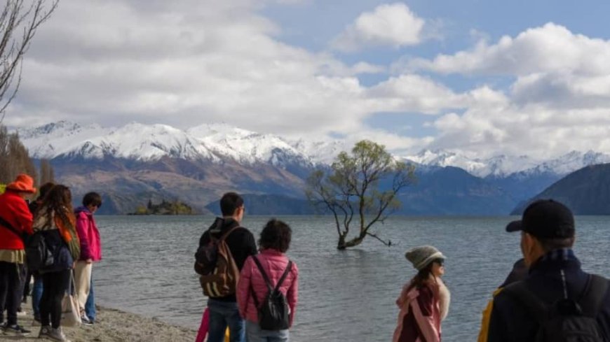 Workcation In New Zealand: New Visa Rules Allow Tourists To Work Remotely For Foreign Employers