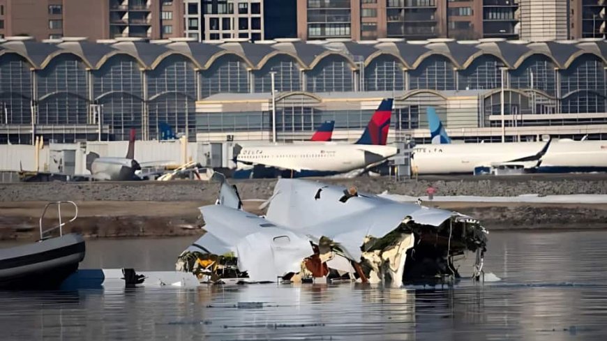 Washington Plane Crash: Black Box Recovered; ATC 'Understaffed' | 10 BIG Updates