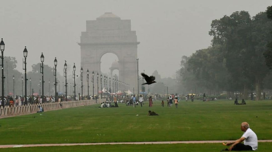 Delhi Weather Gives Tough Time To Meteorologists; Sudden Shift From Winter To Warmer Days...