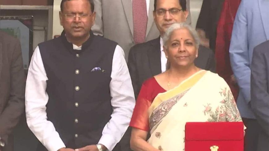 Budget 2025: FM Nirmala Sitharaman's Saree Tribute To Madhubani Art