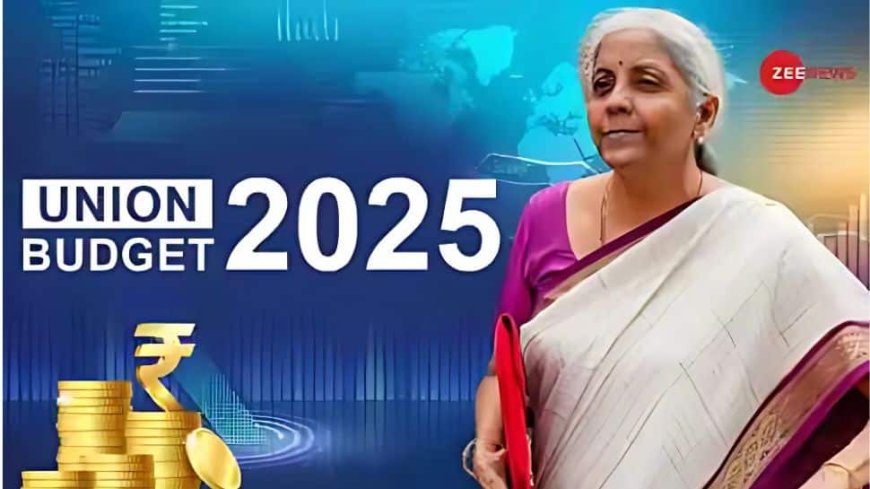 Budget 2025: FM Sitharaman Proposes Makhana Board In Bihar