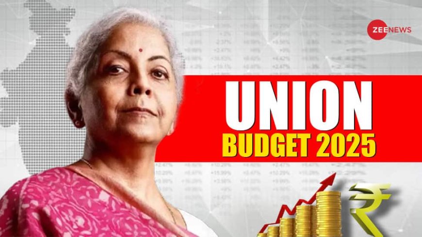 Budget 2025: Good News For Gig Workers As FM Nirmala Sitharaman Announces Major Benefits Under PMJAY Scheme