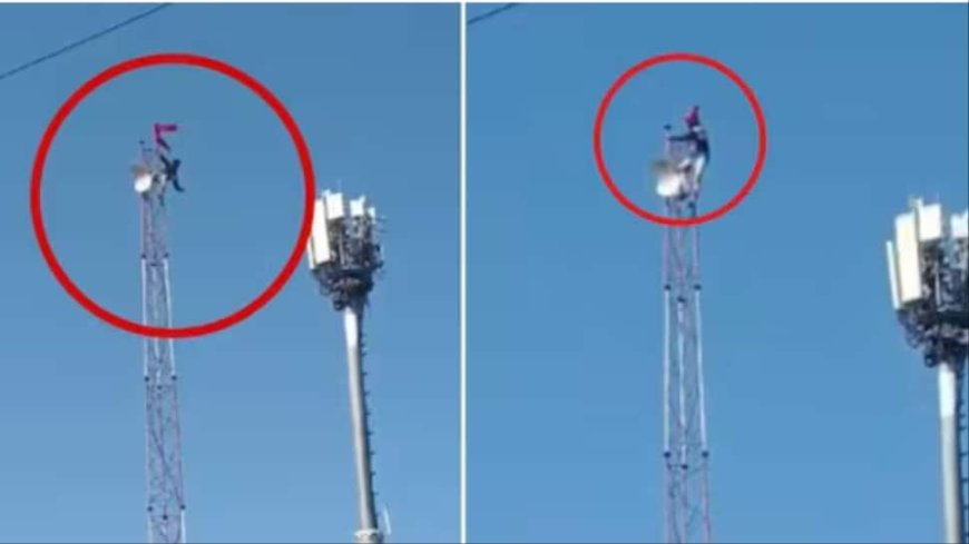 `Sholay`s Veeru` 2.0? Drunk Bhopal Man Climbs 80-Foot Tower, Leaves Locals Shocked In Viral Video