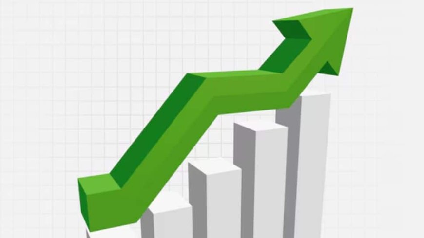 Government’s Consumption Growth Estimated To Improve In FY25