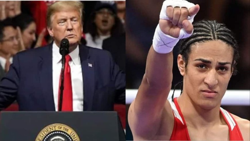 ‘War Is Over’: Trump Signs Order Banning Transgender Athletes From Women’s Sports Months After Imane Khelif's Olympic Medal Row