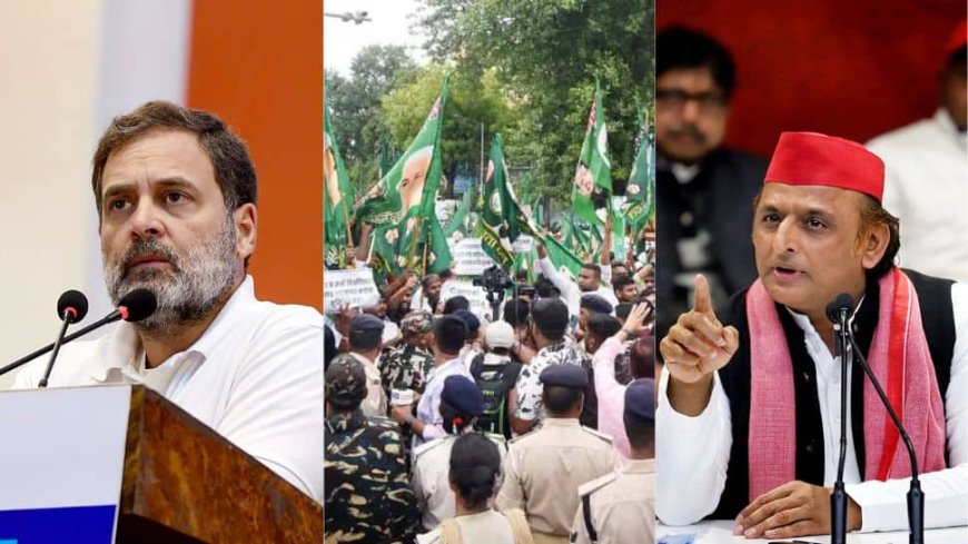 Rahul Gandhi To Join DMK Student Wing`s UGC Protest In Today — All You Need To Know