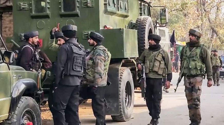 Truck Driver Killed In Army Firing Incident In North Kashmir