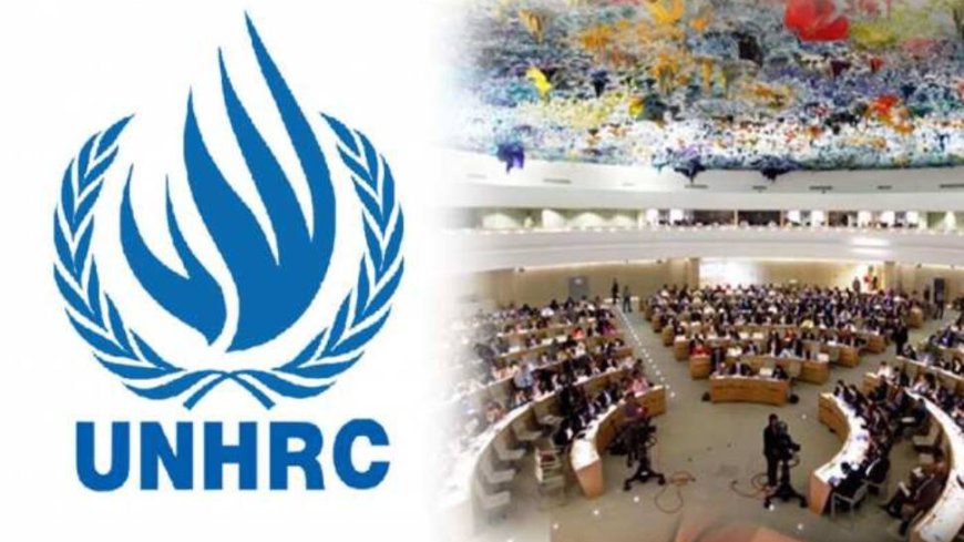 US Cannot Withdraw From A Body It No Longer Belongs: UNHRC