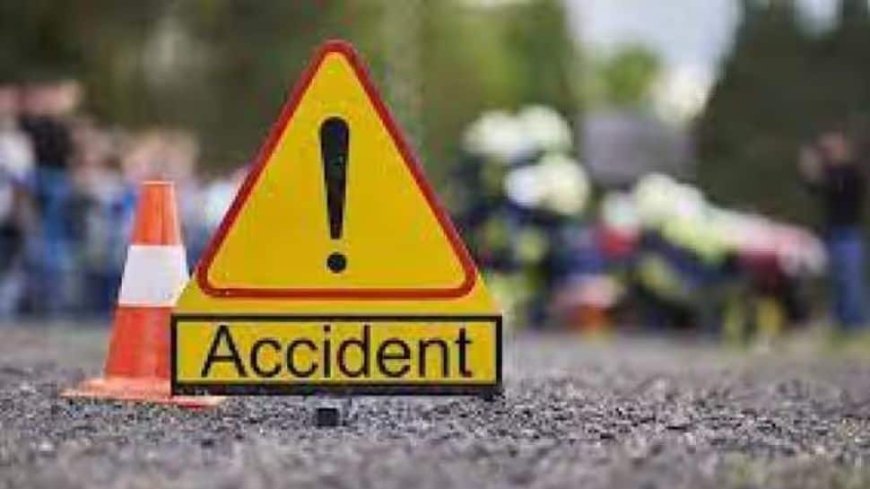 4 Killed, 17 Injured In Road Accident Near Mhow In MP’s Indore