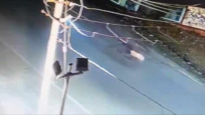 Leopard Crossing Road Collides With Milkman In Viral Video, Here`s What Happens Next