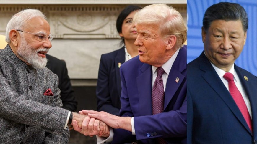 'Bilateral Cooperation Should Not...': What Did China On Modi-Trump Meeting?