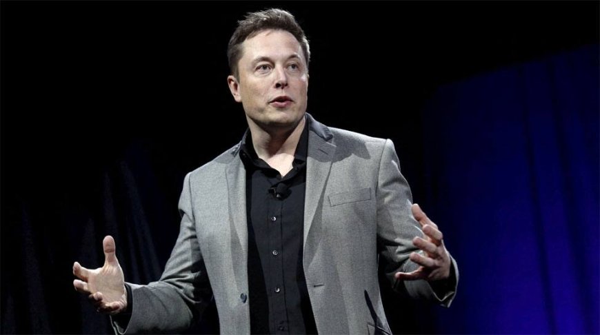 Woman Claims She Is Mother Of Elon Musk's 13th Child; Billionaire Responds